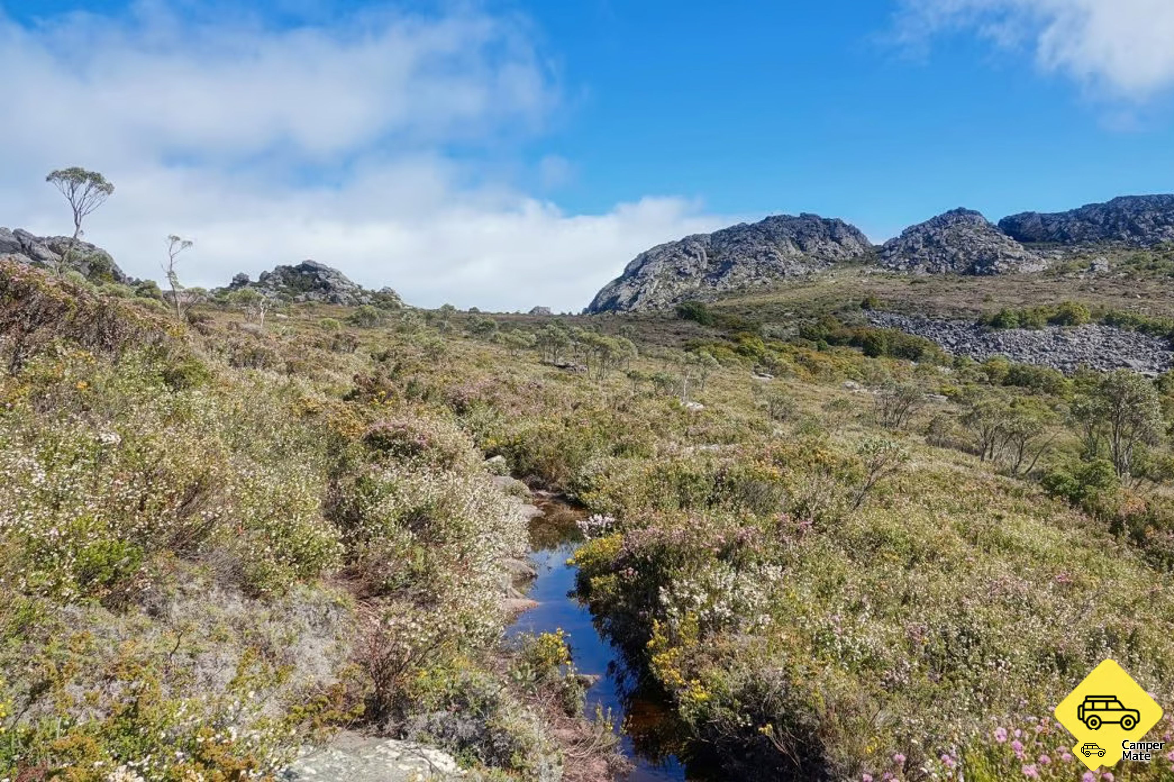 Mount Roland Track - Image 3