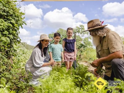 High Valley Dawn, Permaculture Farm के बारे में टिप्पणियाँ