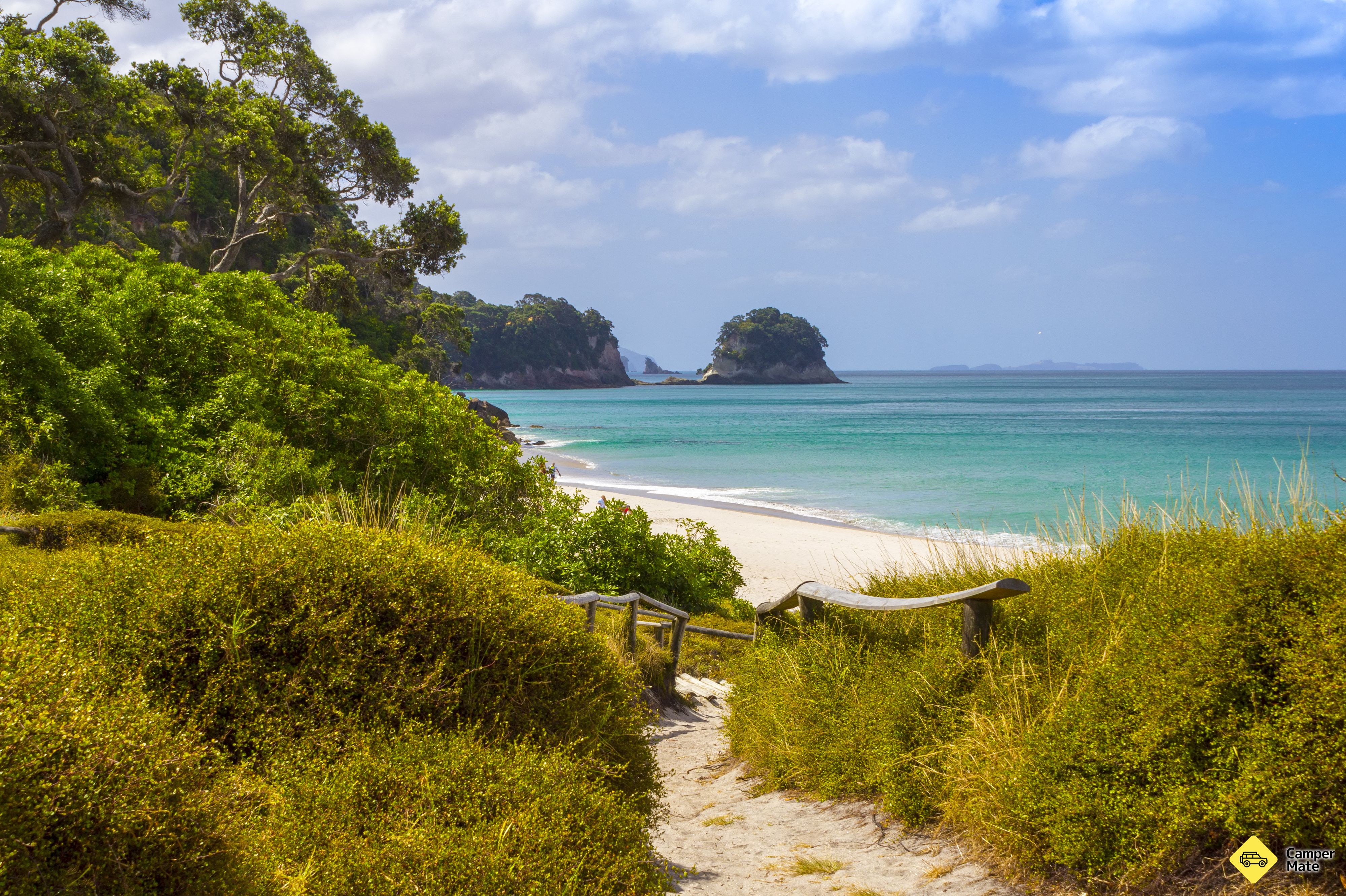 Whiritoa Beach - Image 3
