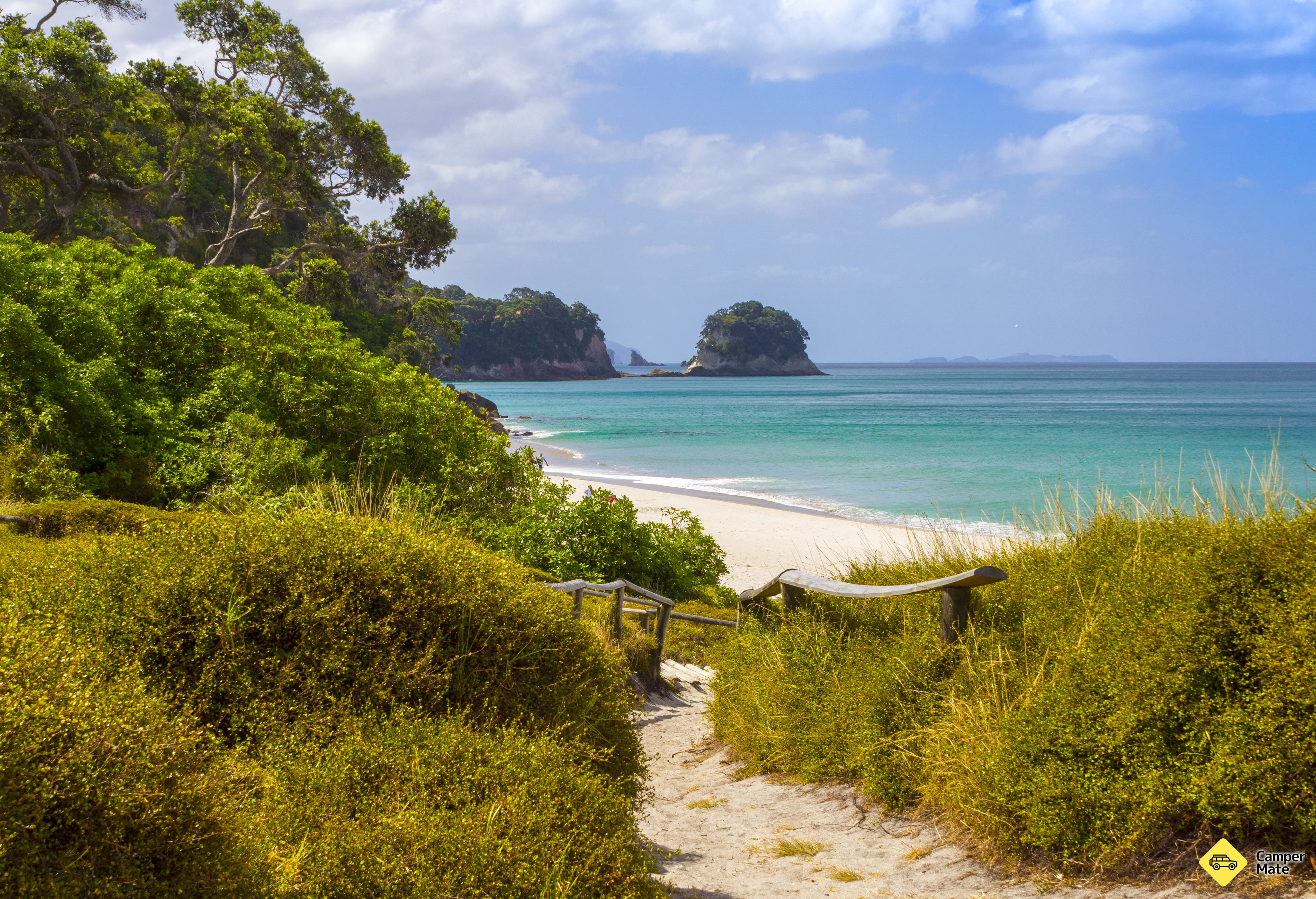 Whiritoa Beach - Image 3