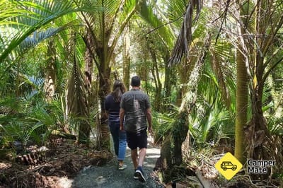 Te Korowai o Punangairi Walkway