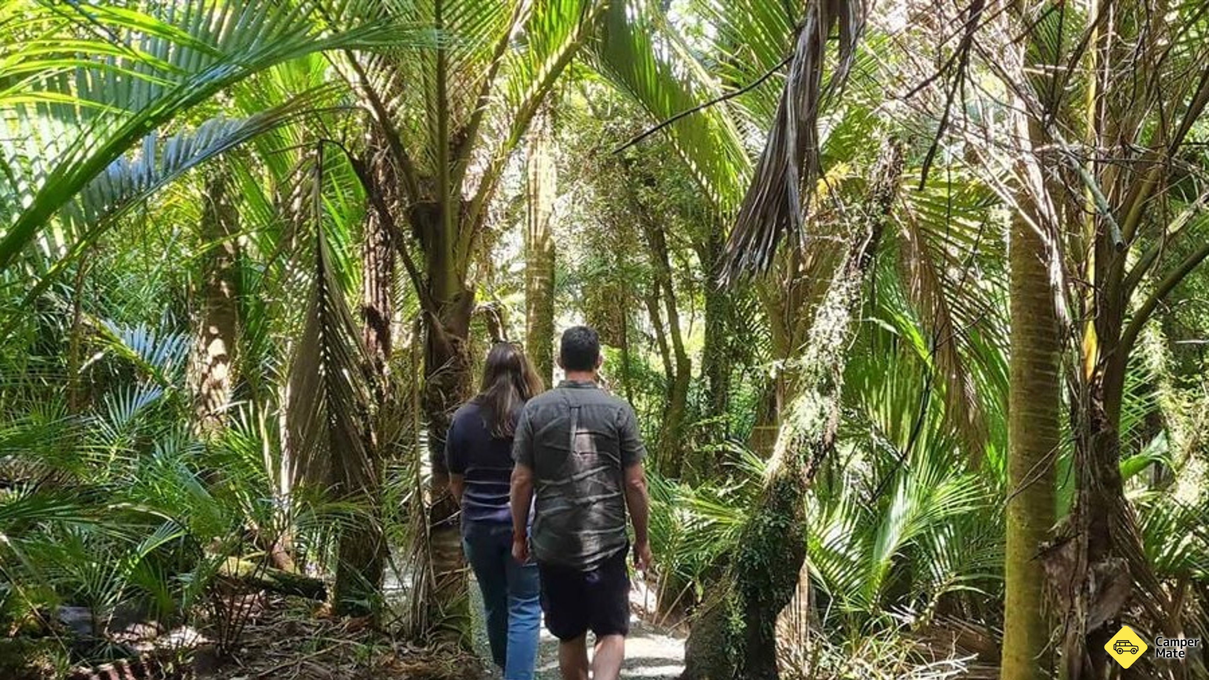 Te Korowai o Punangairi Walkway