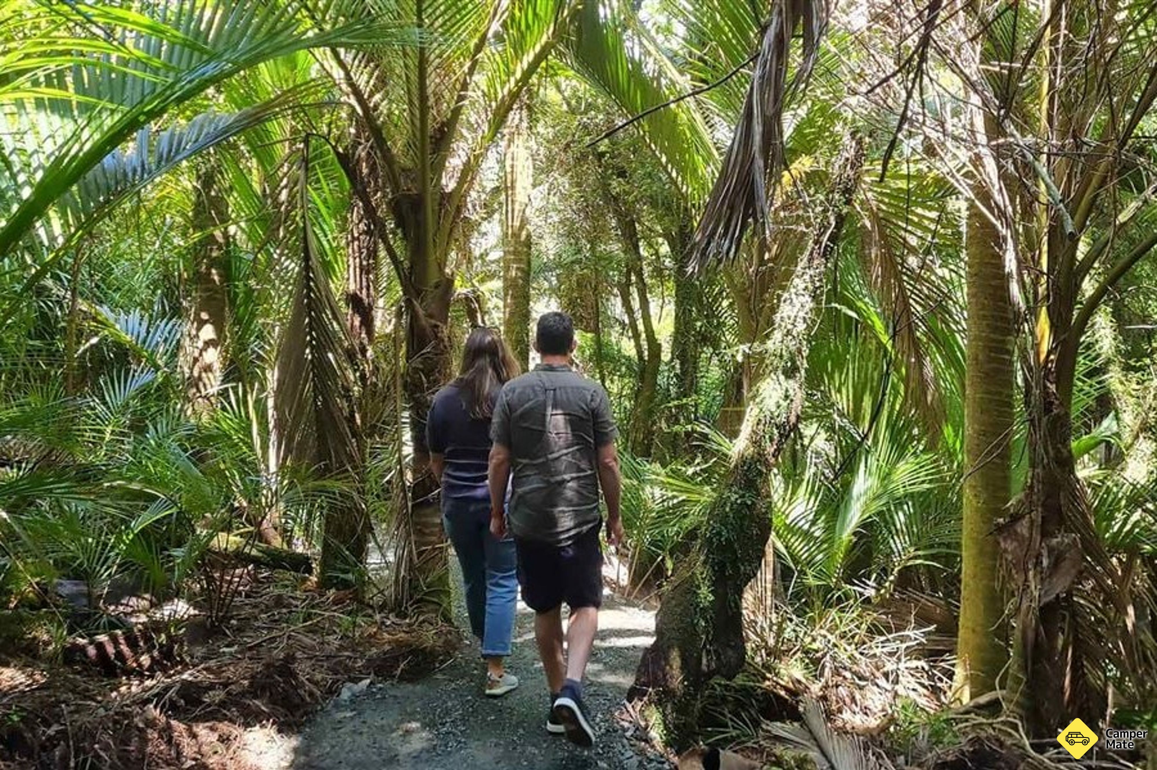 Te Korowai o Punangairi Walkway