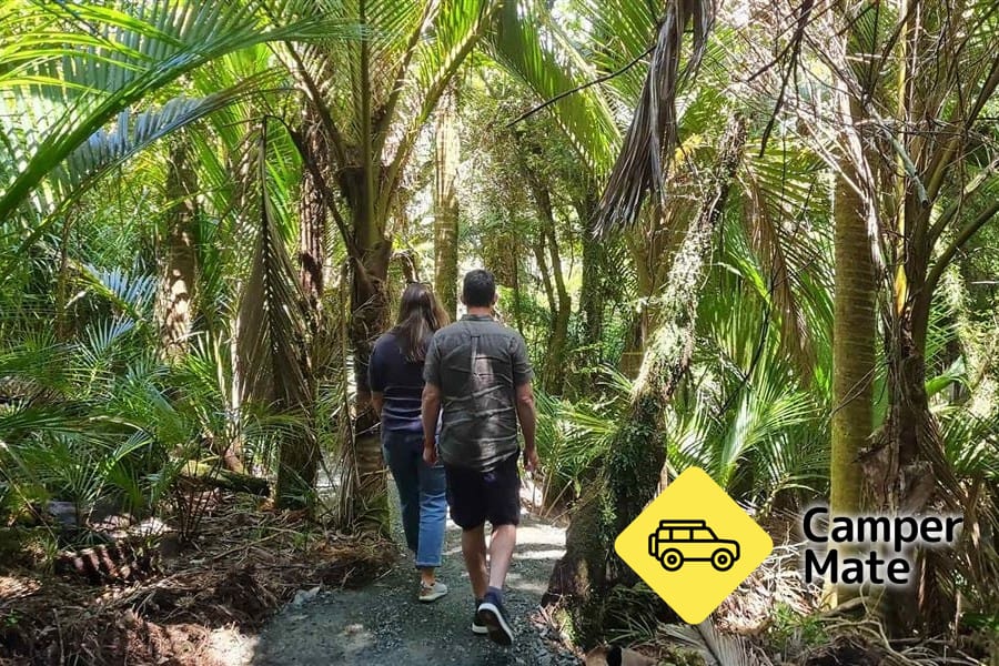Te Korowai o Punangairi Walkway