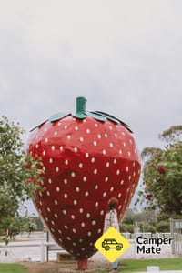 The Big Strawberry