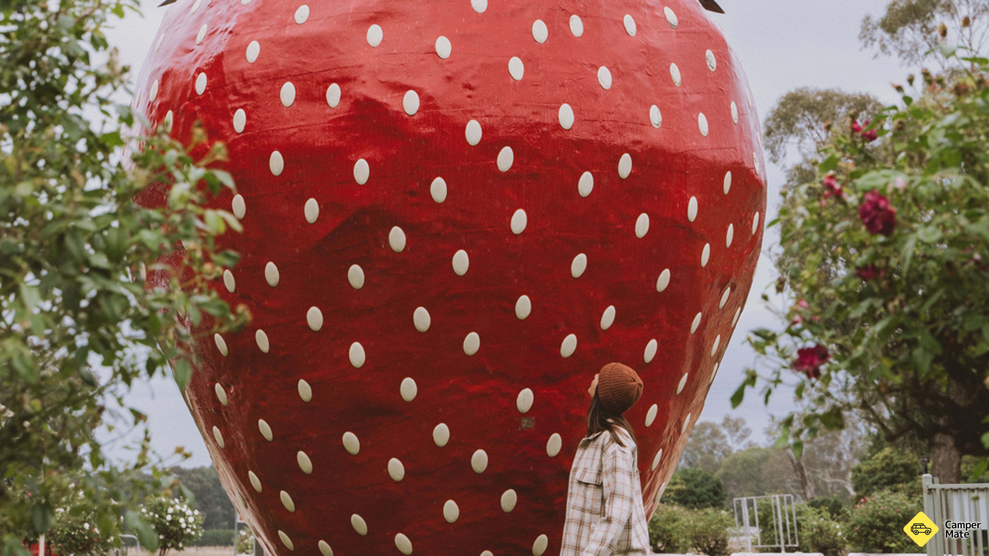 The Big Strawberry