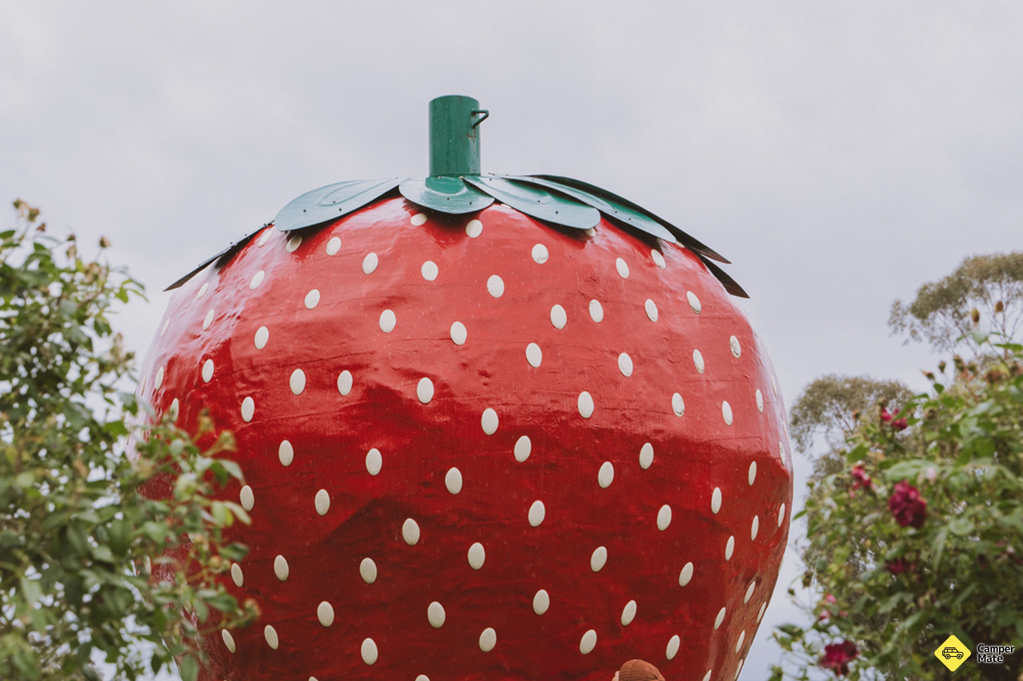 The Big Strawberry