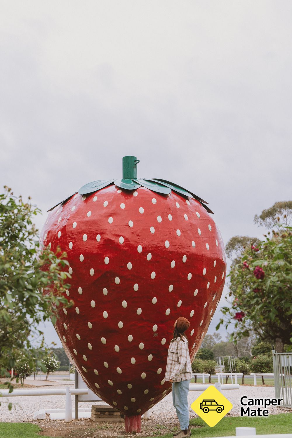 The Big Strawberry