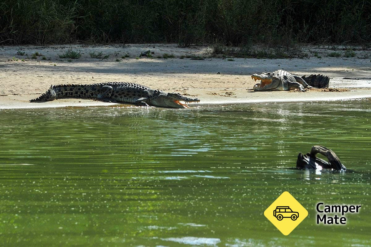 Guluyambi Cultural Cruise on the East Alligator River - Image 2
