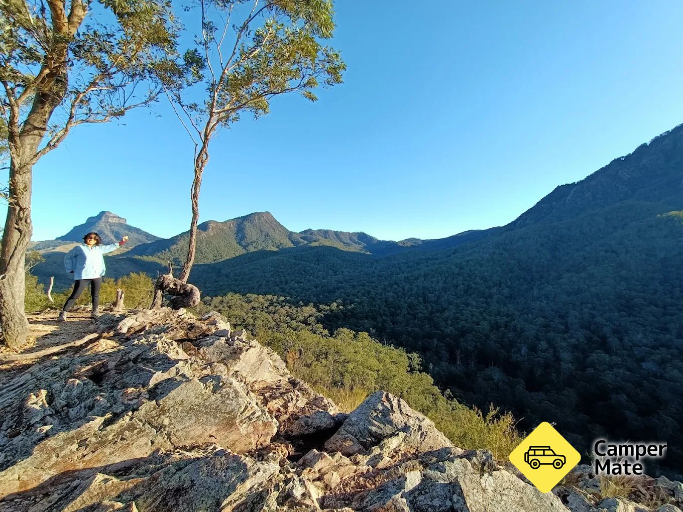 Yellow Pinch Track - Image 2