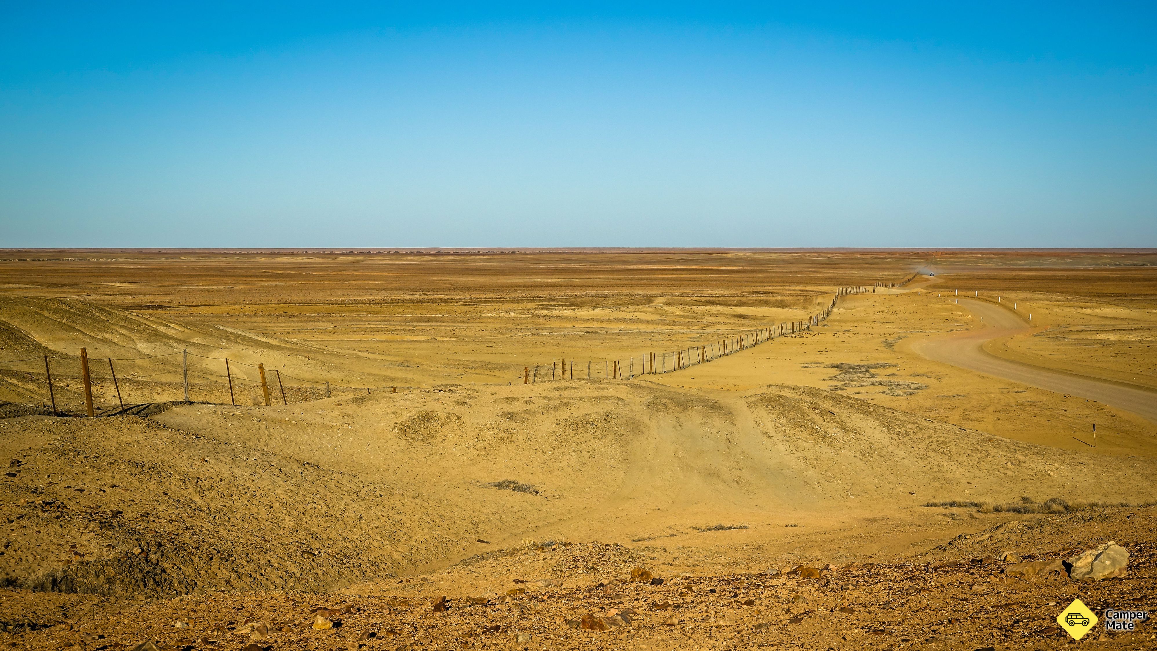 حديقة الكلب Lookout