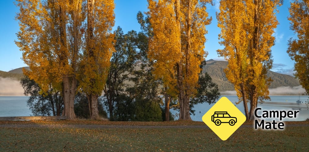 Te Anau Waterfront Walkway