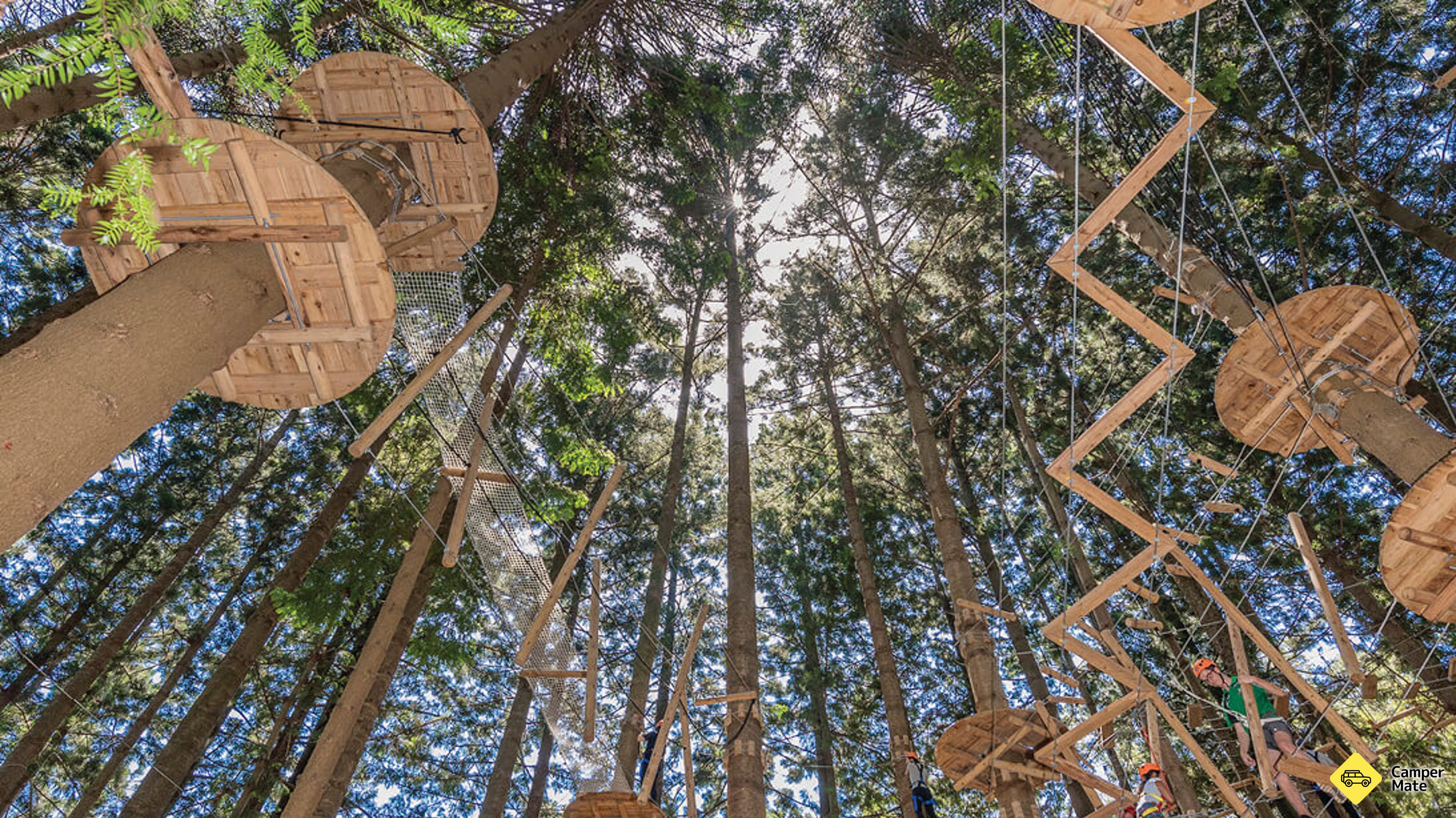 Treetops การผจญภัย The Hills