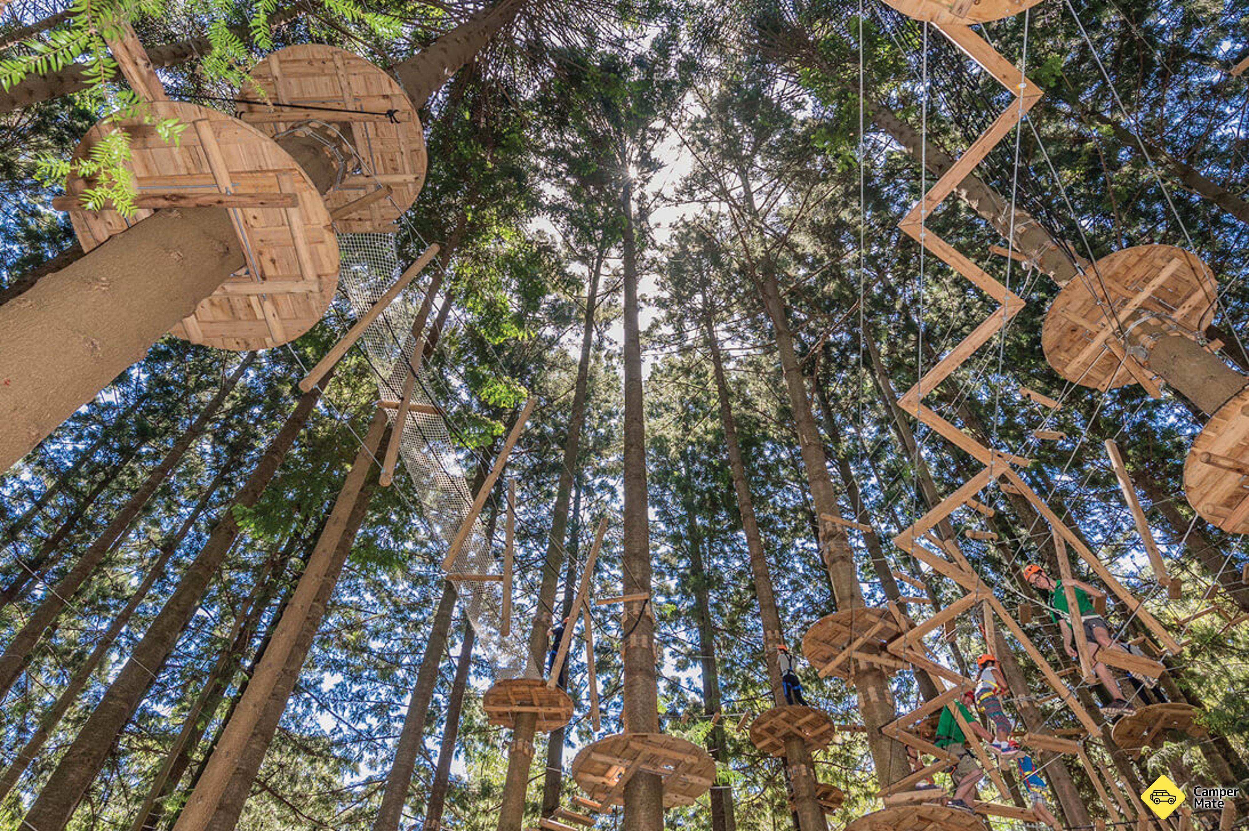 Treerops Treetops Adventure The Hills, Sydney, New South Wales, Australia ...