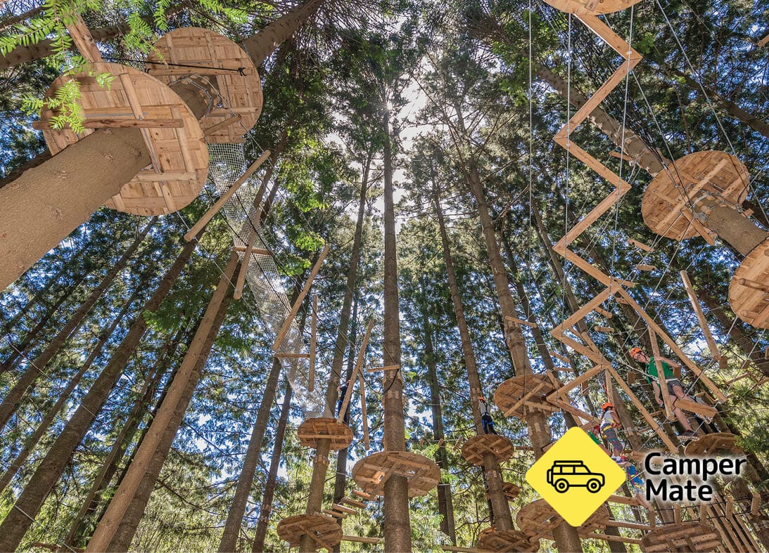 Treetops Adventure The Hills