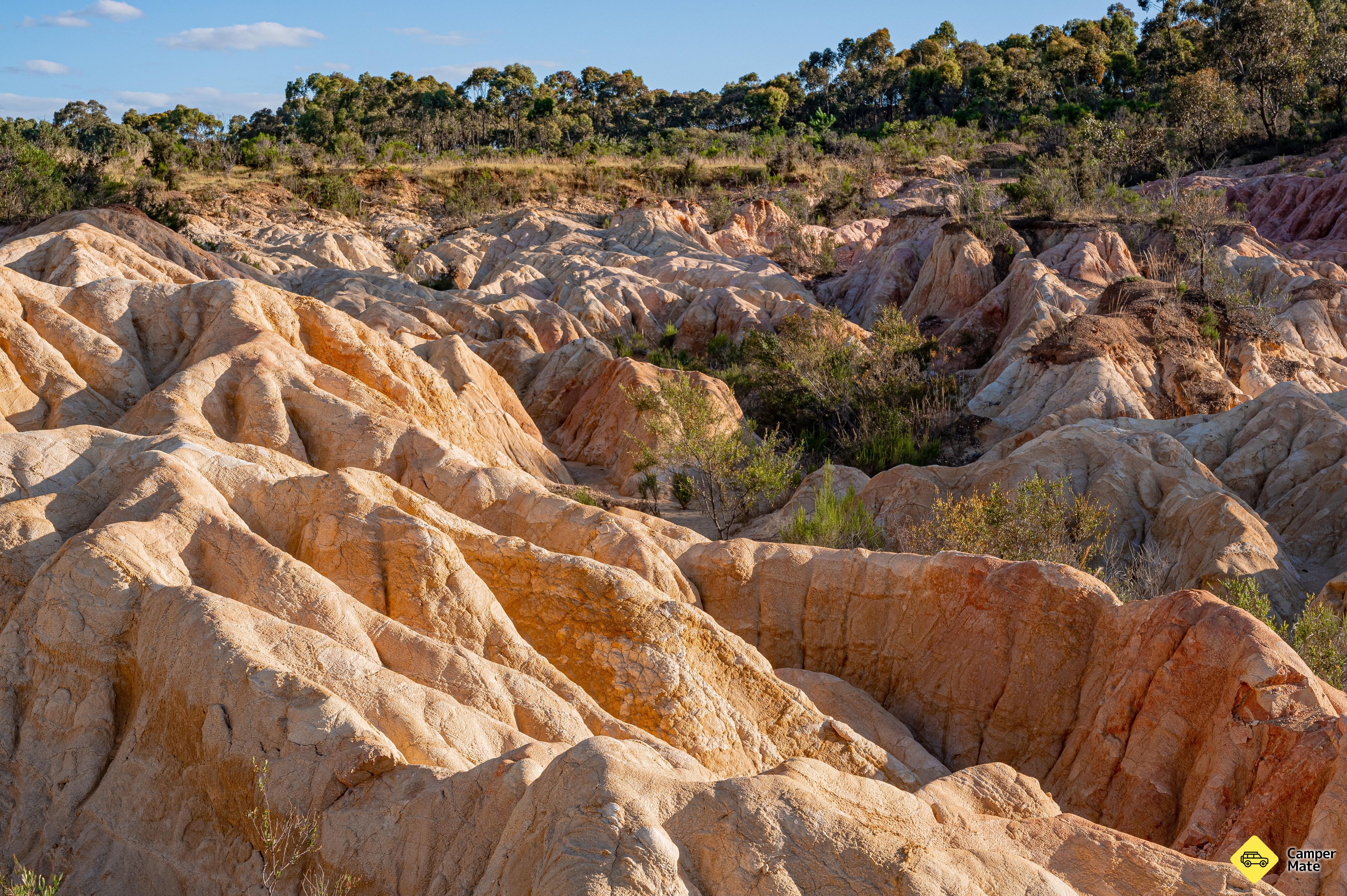 The Pink Cliffs - Image 2