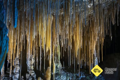 Hastings Caves and Thermal Springs 근처 오락거리