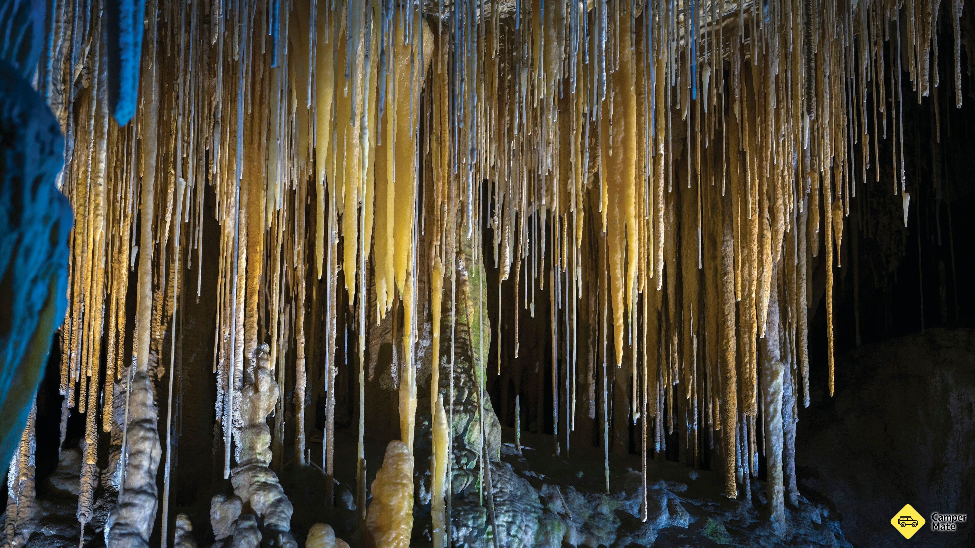Các hoạt động ở Hastings Caves and Thermal Springs