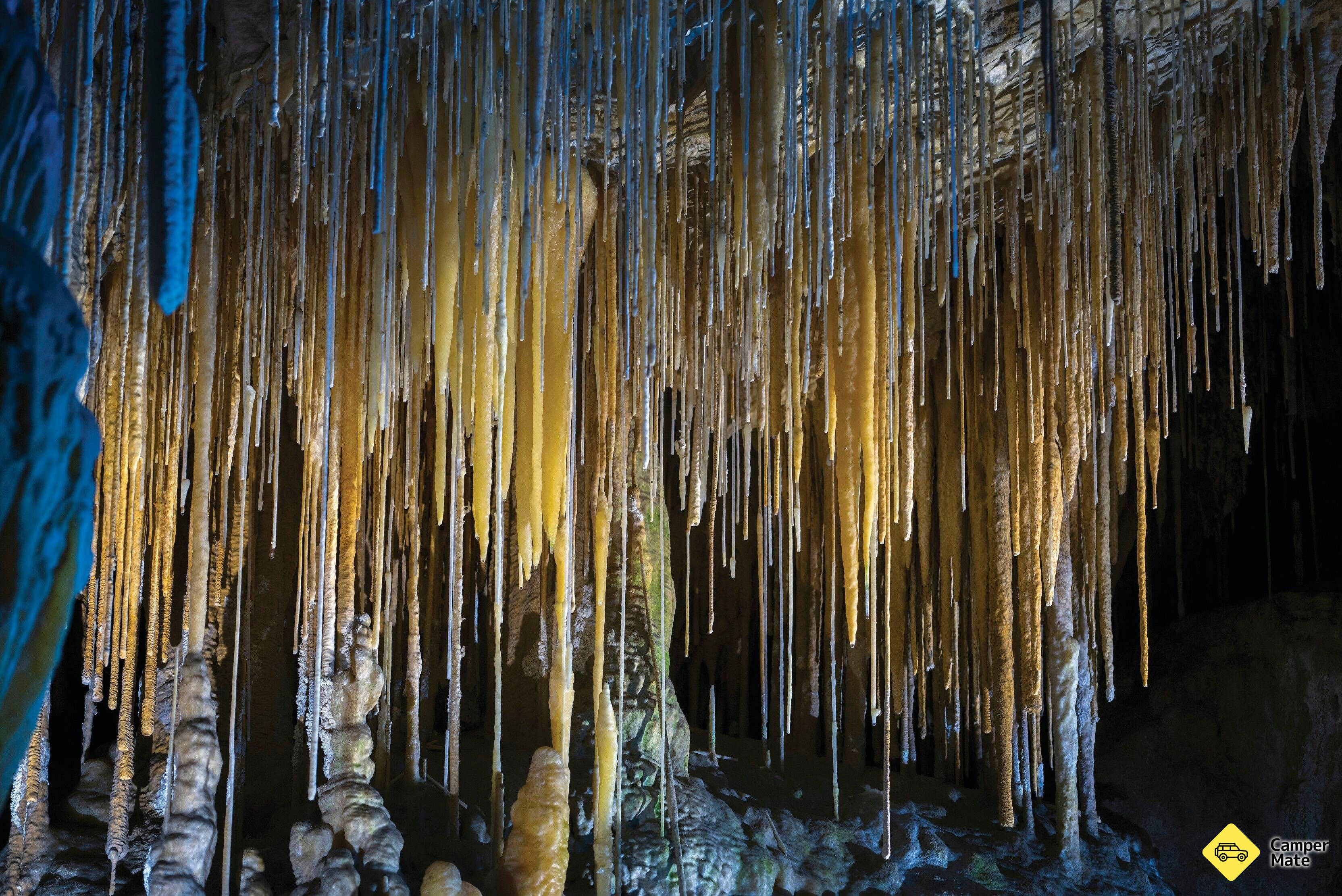 Hastings Caves und Thermal Springs