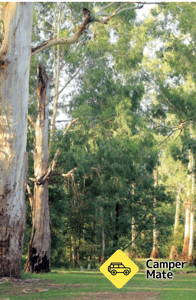 Doon Reserve Caravan Park & Camp Ground