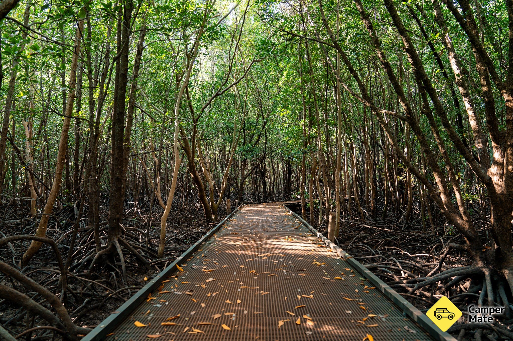 Casuarina Coastal Reserve - Image 2
