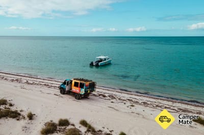 Shark Bay Eco Tours