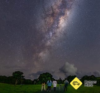 Stargazing & Wild Kiwi Tours