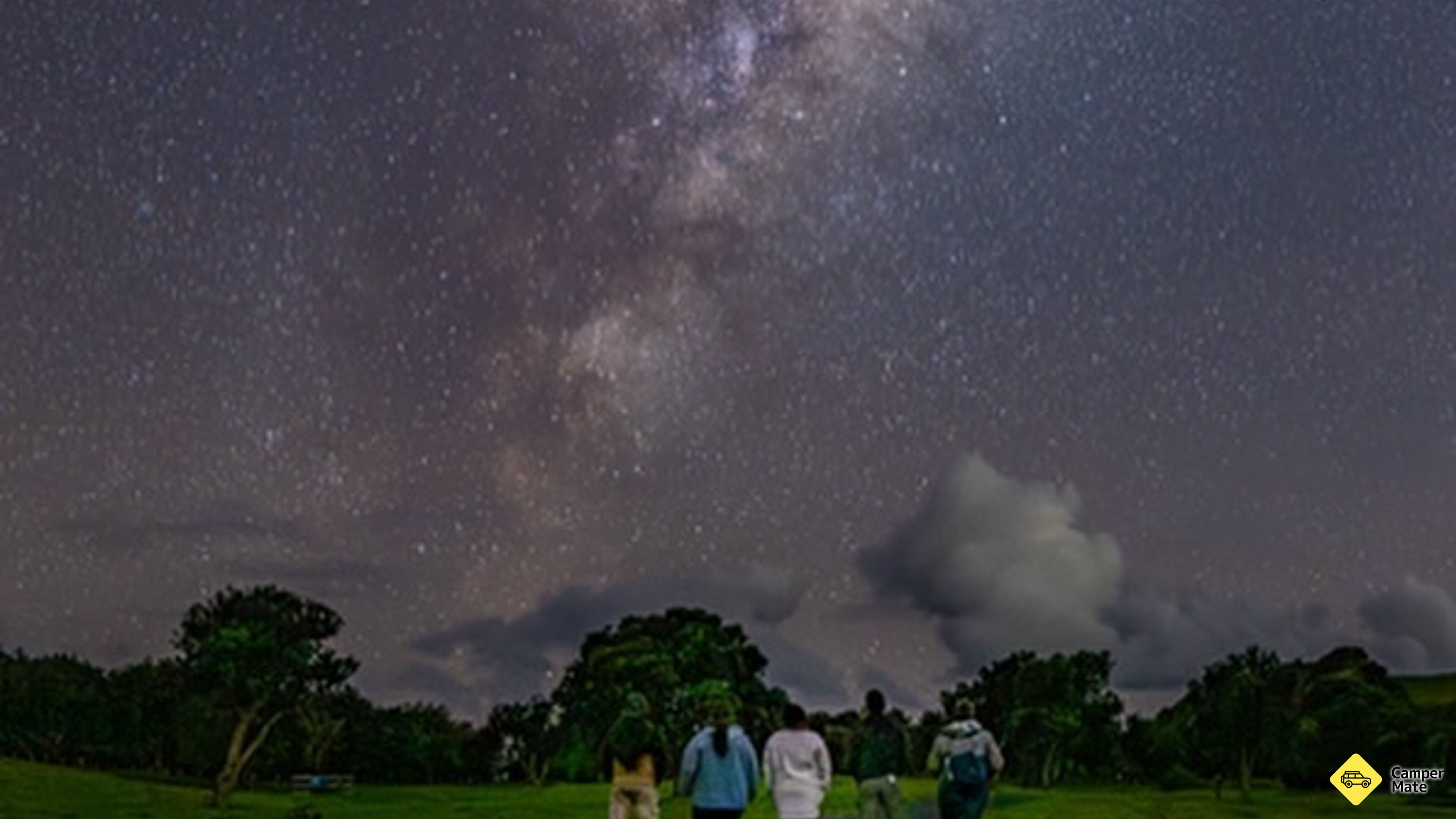 Stargazing & Wild Kiwi Tours(スターガジング&ワイルドキウイツアー)