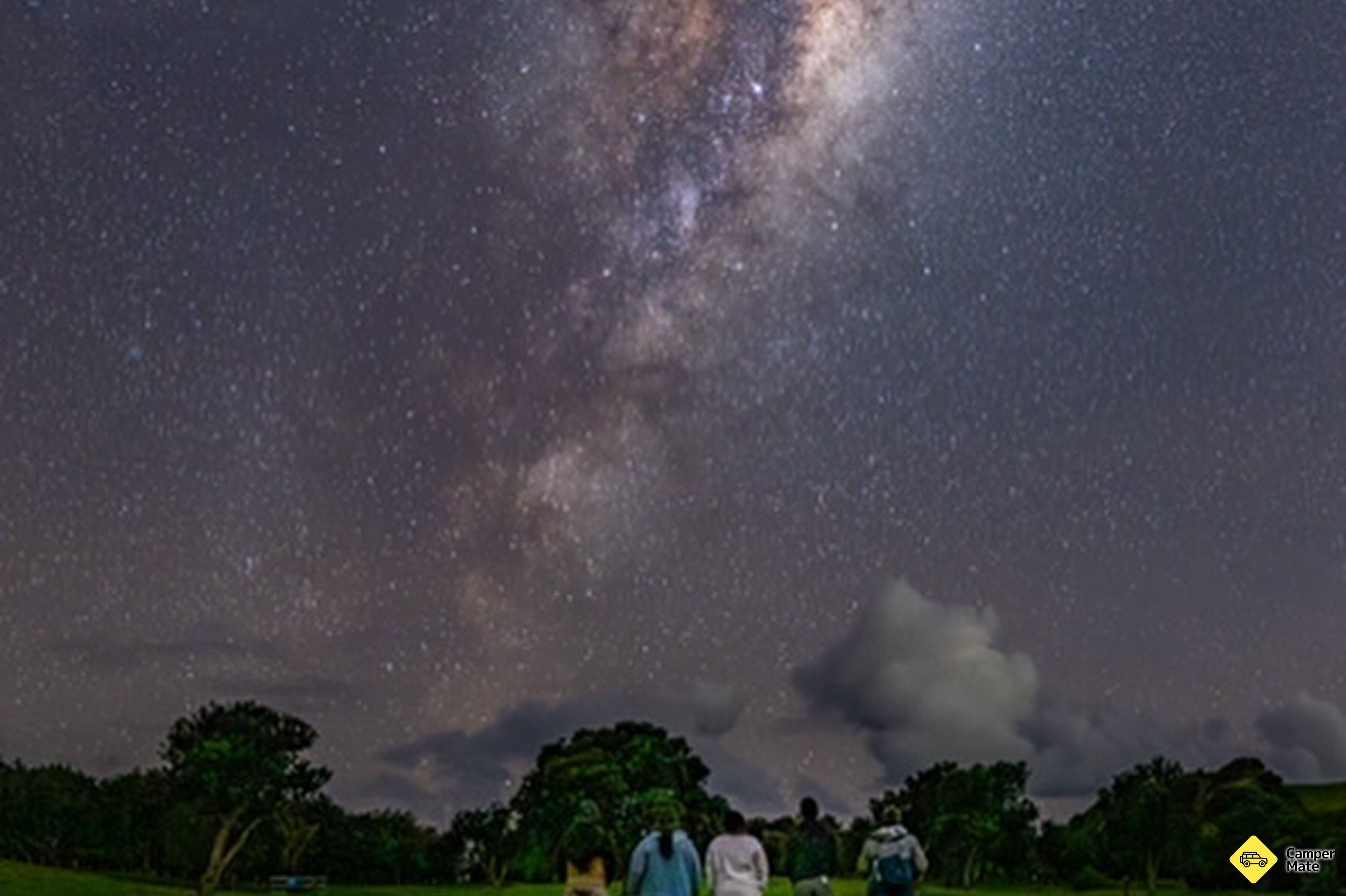 Stargazing & Wild Kiwi Tours(スターガジング&ワイルドキウイツアー)