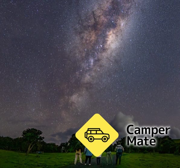Stargazing & Wild Kiwi Tours