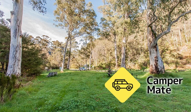 Leatherbarrel Creek Campground - Image 2