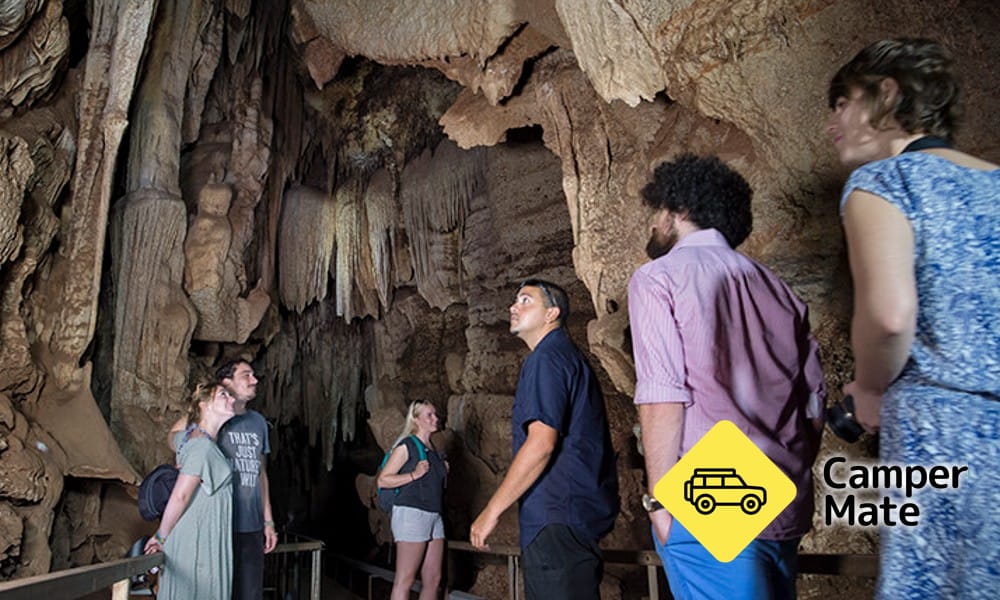 Cutta Cutta Caves Nature Park - Image 2
