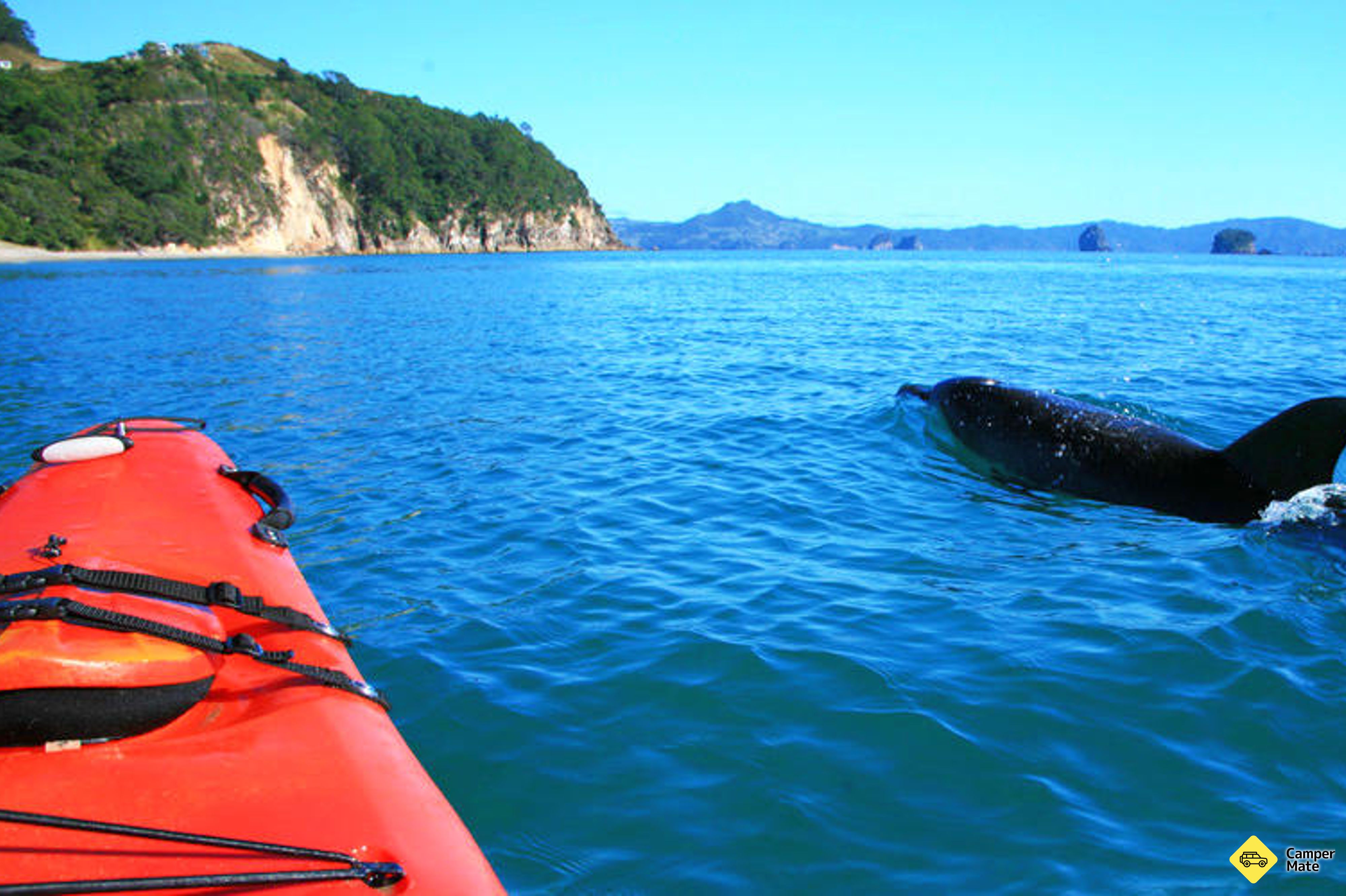 Cathedral Cove Kayaking Tour - Image 2