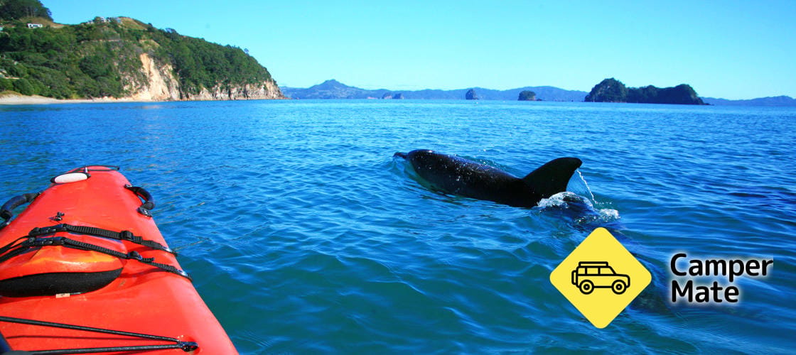 Cathedral Cove Kayaking Tour - Image 2