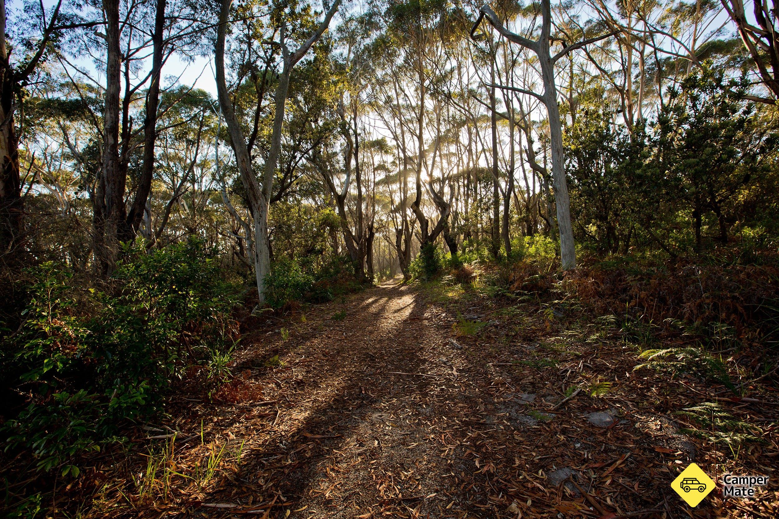 Munyunga Waraga Dhugan Walking Trail