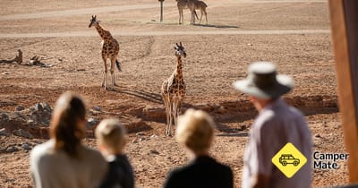 Monarto Safari Park