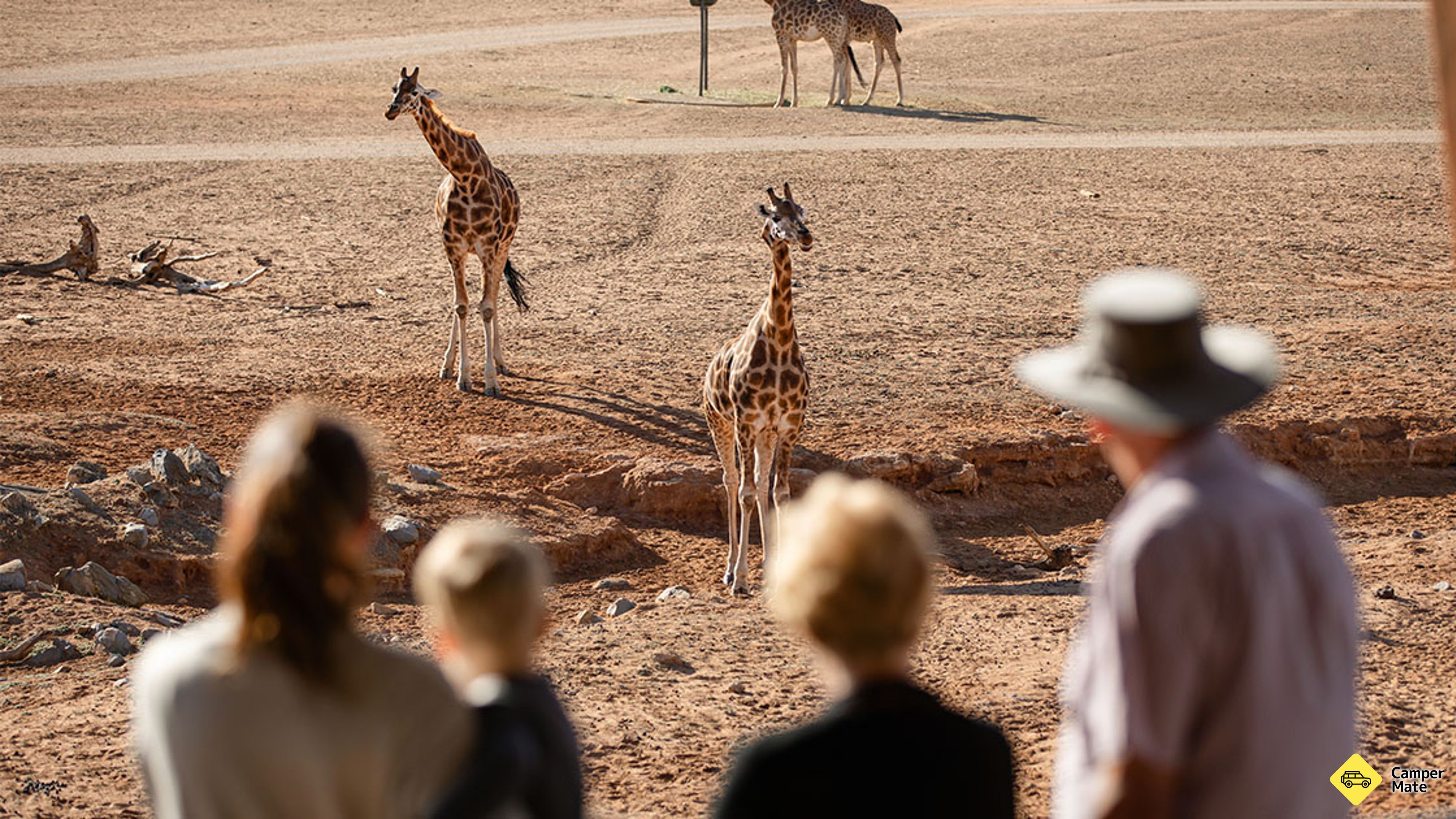 Parco Safari di Monarto