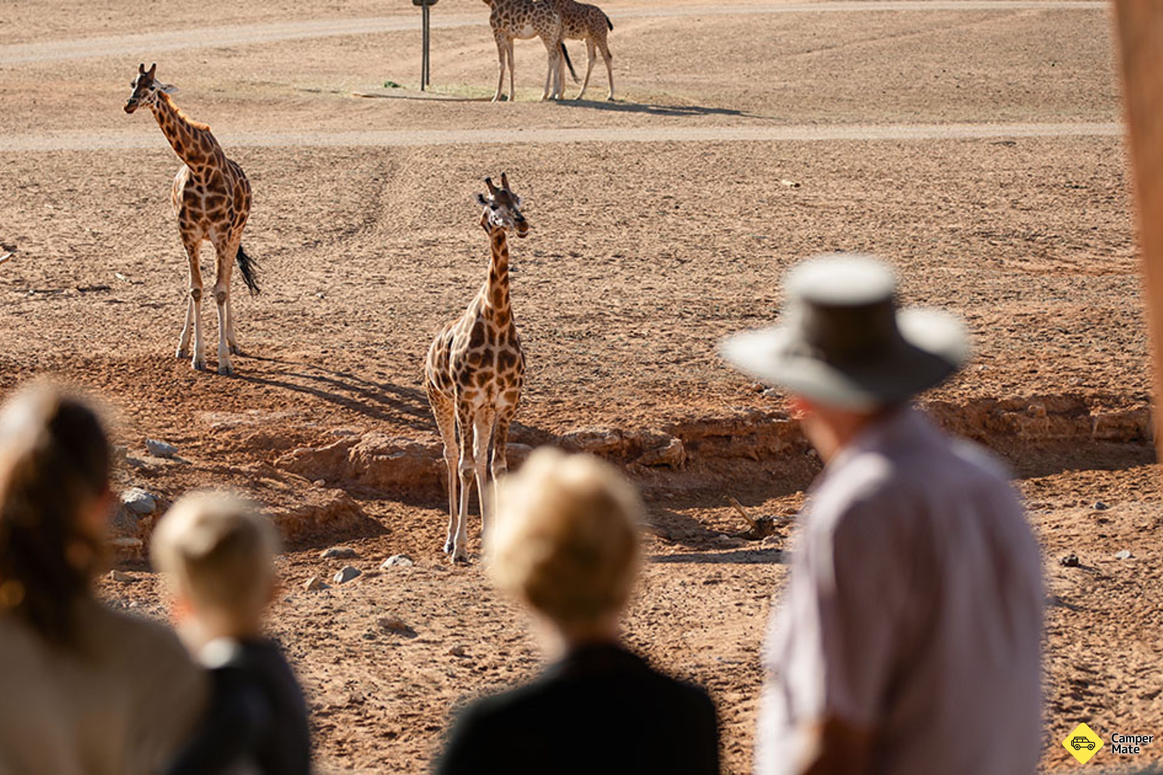Parco Safari di Monarto