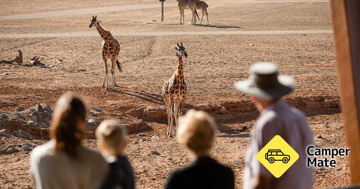 I närheten av Monarto Safari Park