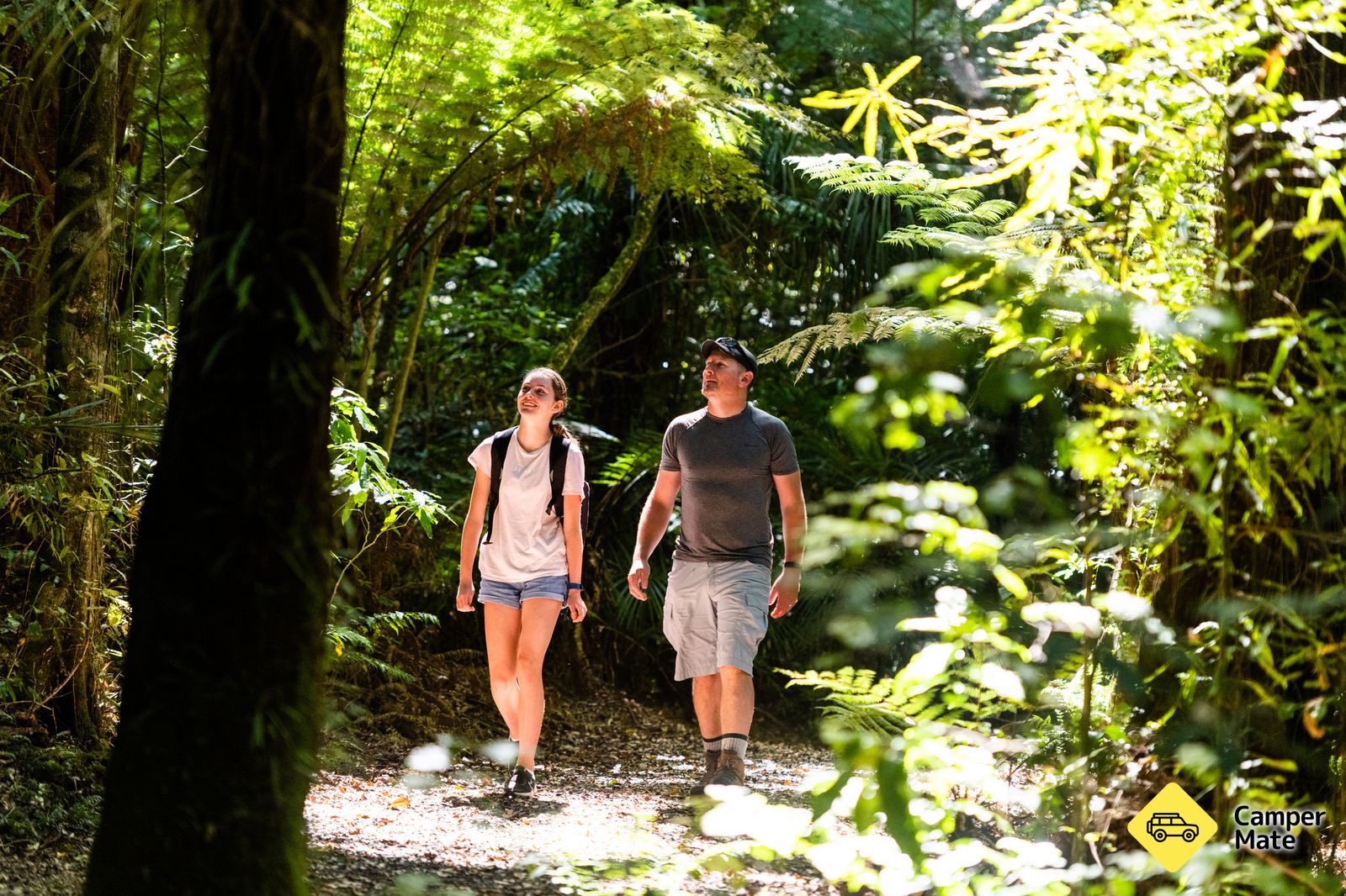 Sanctuary Mountain Maungatautari