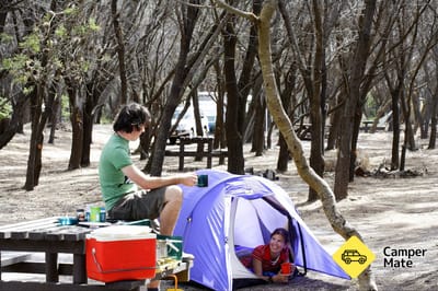 แคมเปญด้านบน