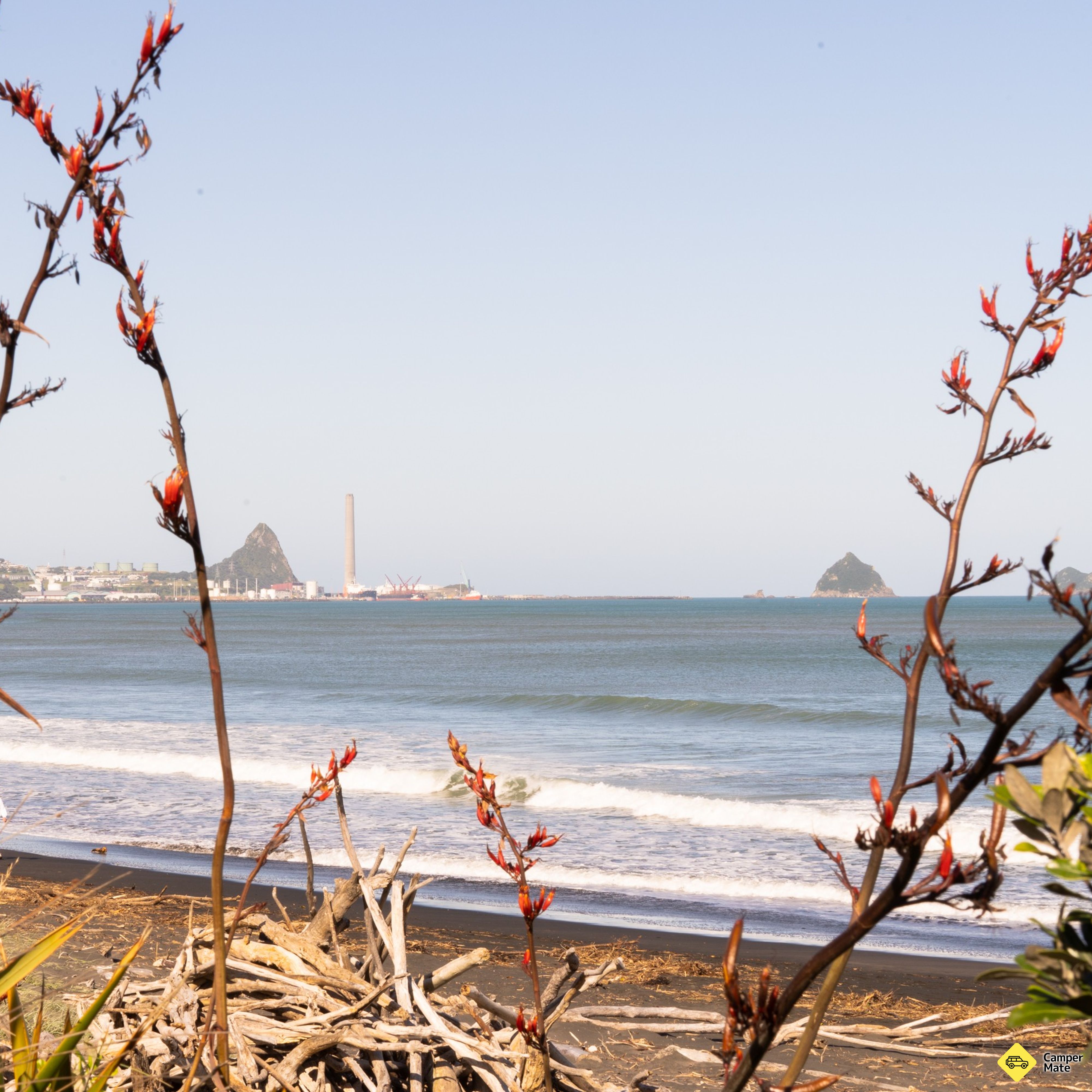 Pantai Fitzroy - Image 2
