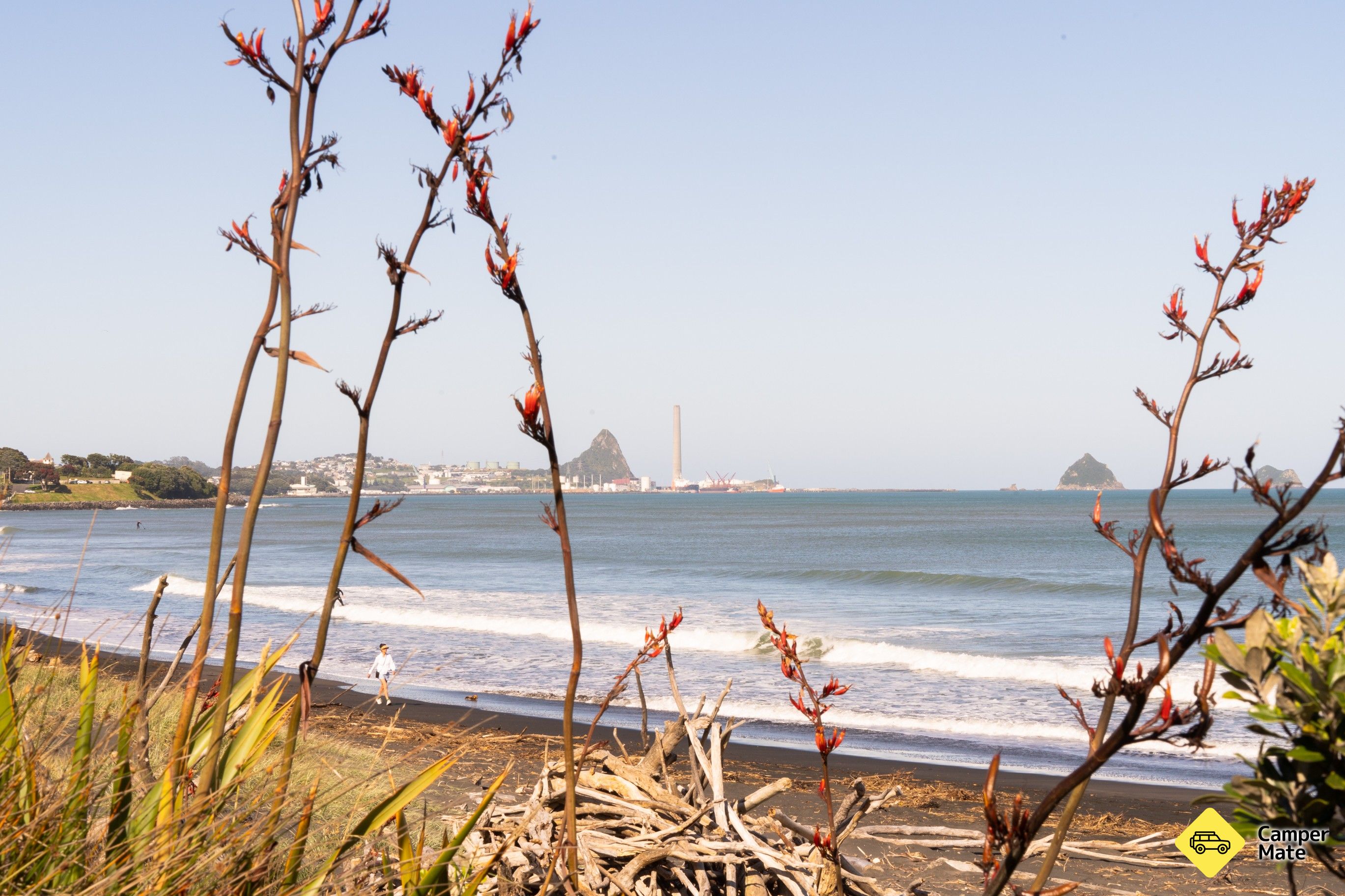 Fitzroy Beach - Image 2