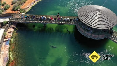 Ocean Park Aquarium