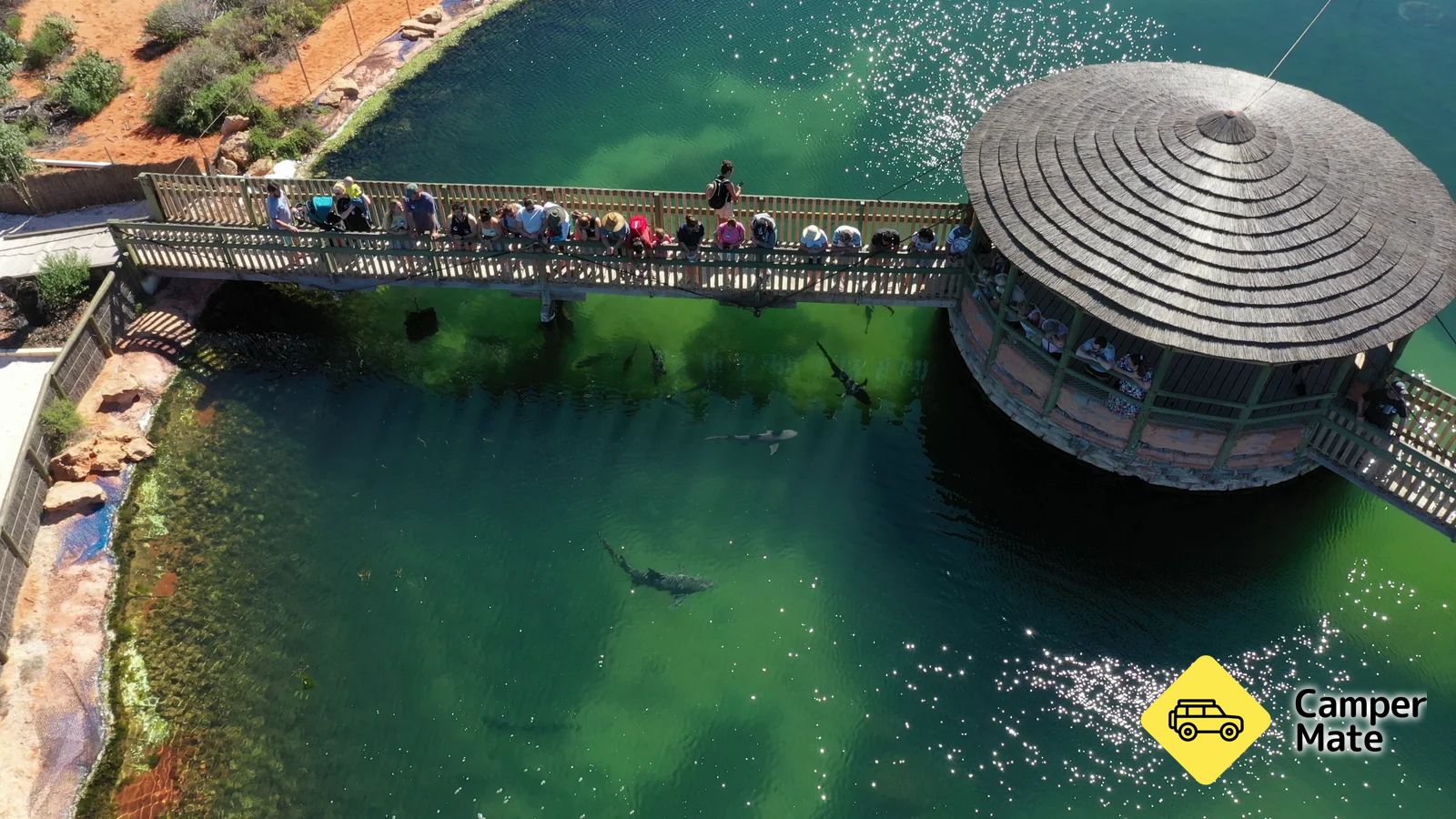 Ocean Park Aquarium