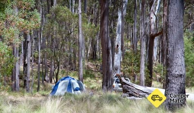 Coxs Creek Campground