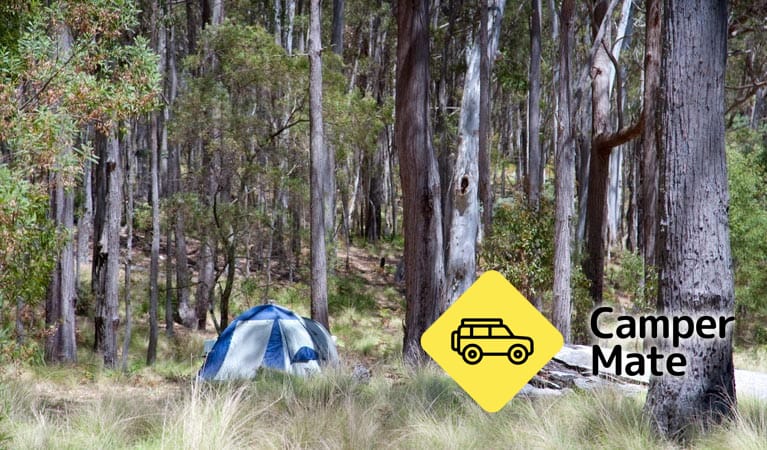 Coxs Creek Campground