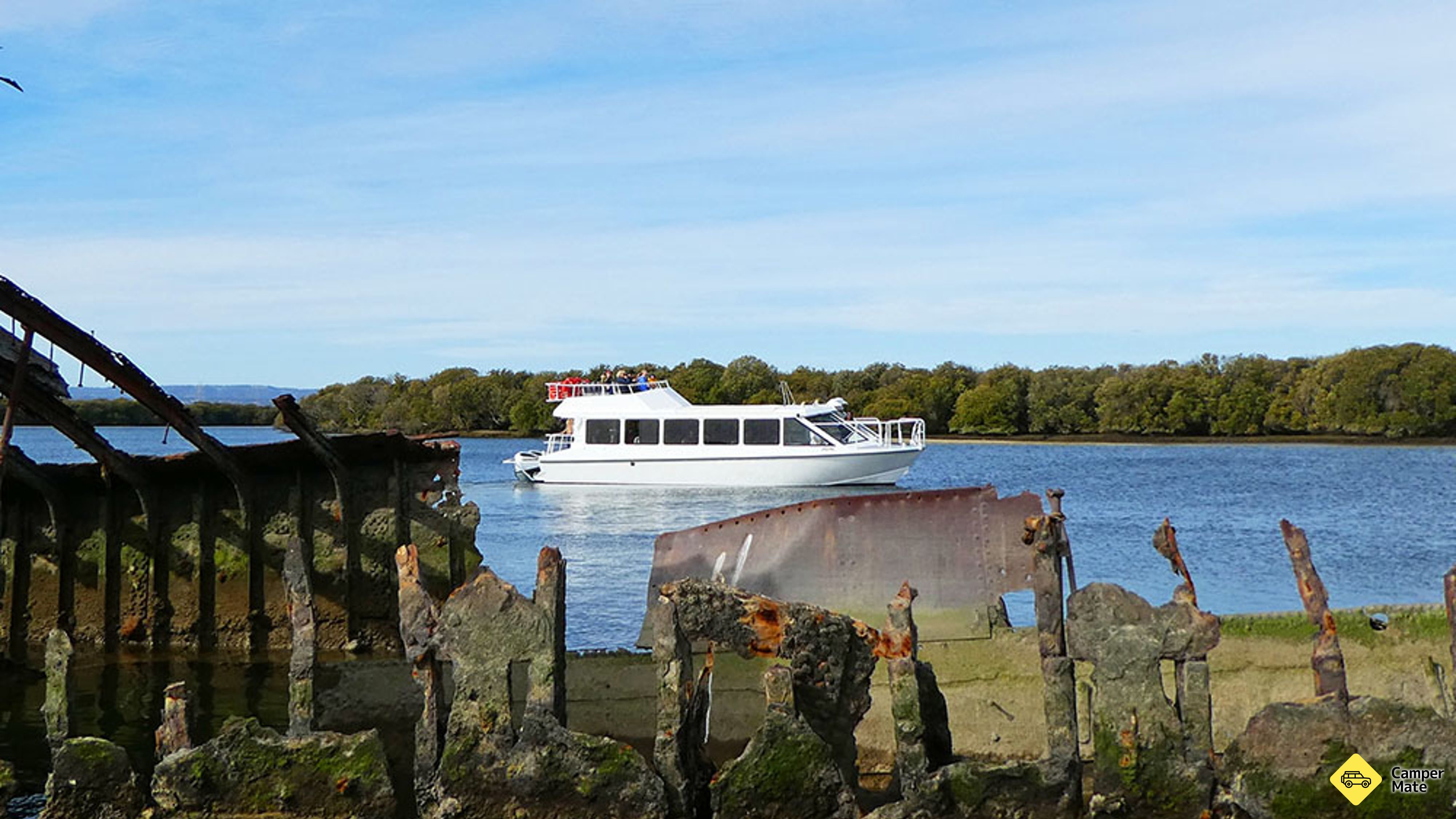 Port River Dolphin Cruise - 90 Minutes