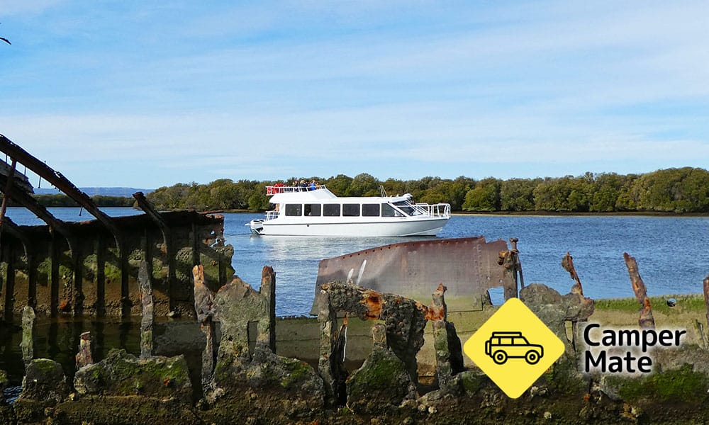 Port River Dolphin Cruise - 90 Minutes