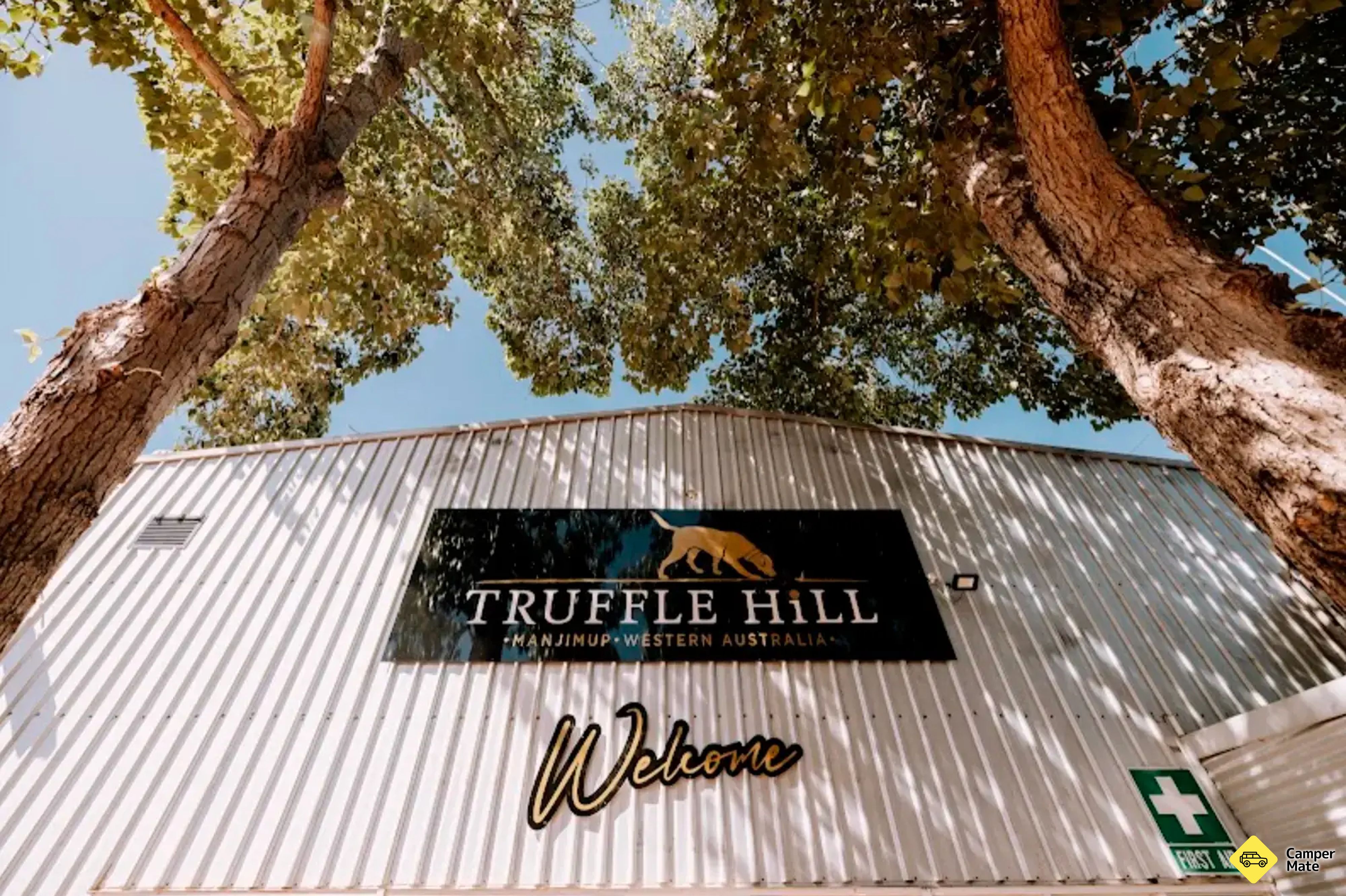 Truffle Experience with Truffle Hill - Image 3